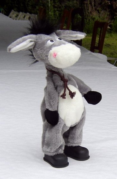 2008 06 Journée des adhérents 17